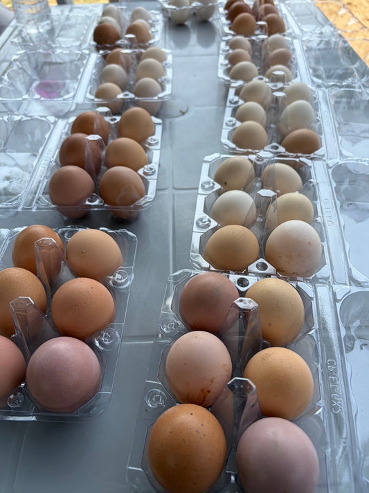 Eggs (1/2 dozen)