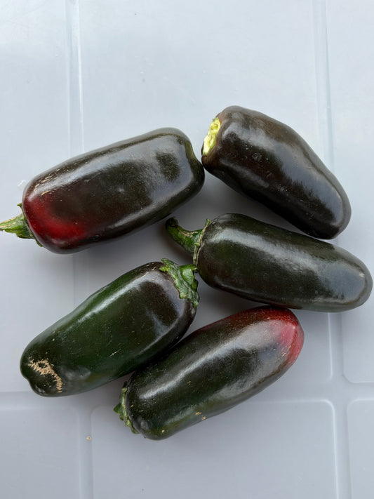 Organic Hybrid Jalapeños