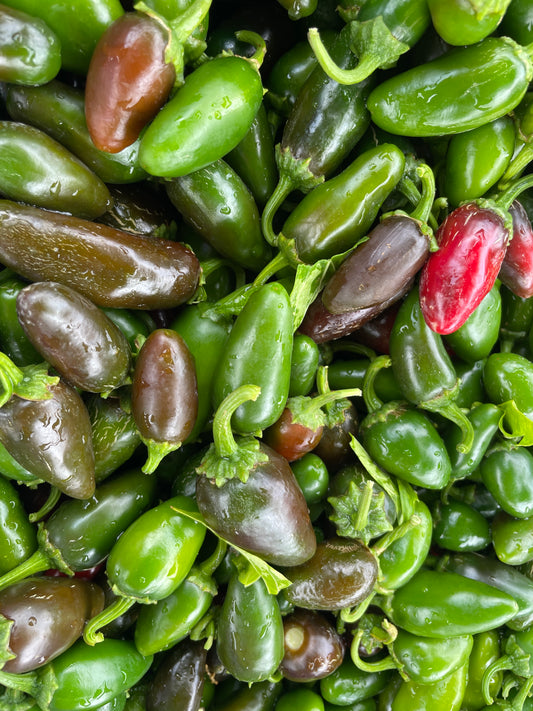 Jalapeno Peppers (Organic)