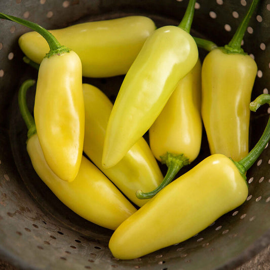 Yellow Jalapeno (Spicy)