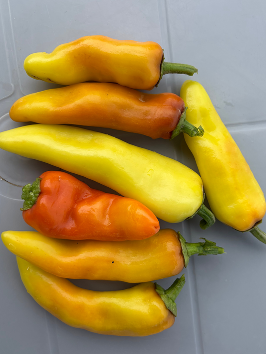 Banana Peppers (organic-sweet)