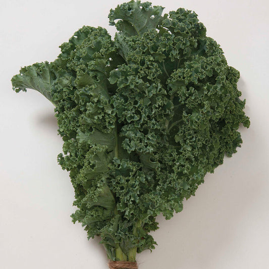 Curly Kale