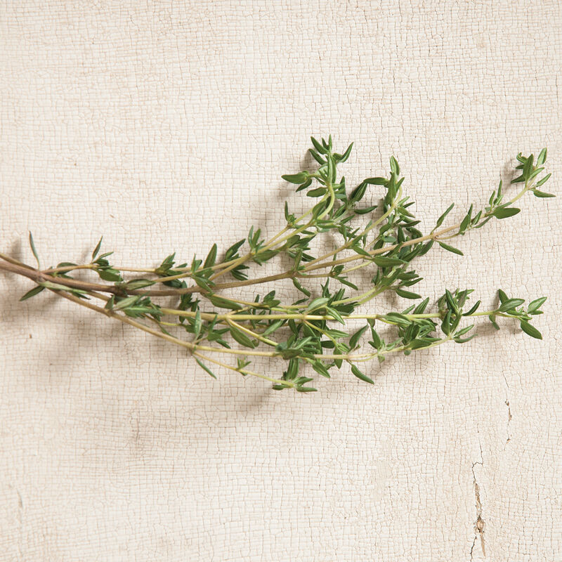 Thyme